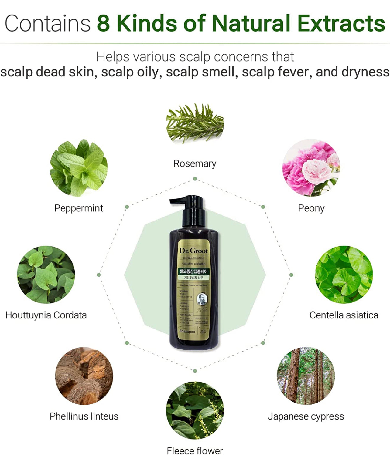 DR. GROOT Hair Loss Control Shampoo For Oily Scalp (400ml) - Kiyoko Beauty