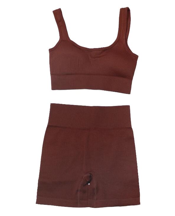 High Waist Fitness Seamless Shorts Sports Workout and Bra Sets Wear